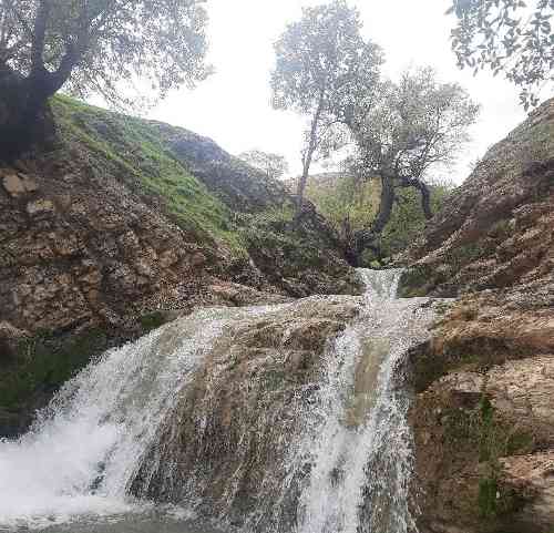  ای سرور و سلطانم بین ناله پنهانم ای این دیده ی گریانم ای